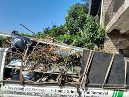 Best Foreclosure Cleanout  in El Cenizo, TX